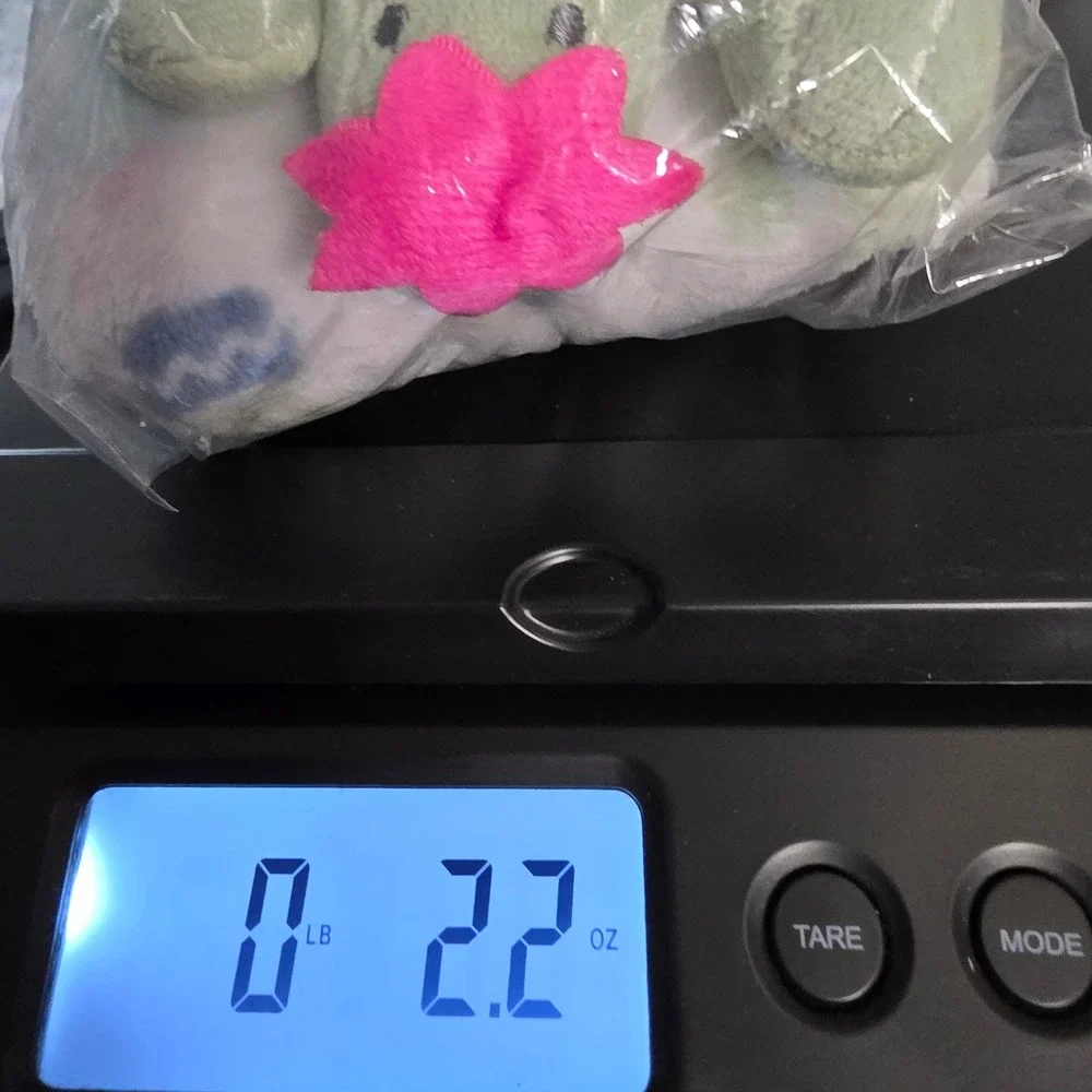Hudson Baby Cactus Plush Security Blanket Lovey 16505 Green Pink White